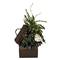 20" African Violet, Dumb Cane & Ivy in Decorative Chest